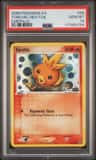 Torchic