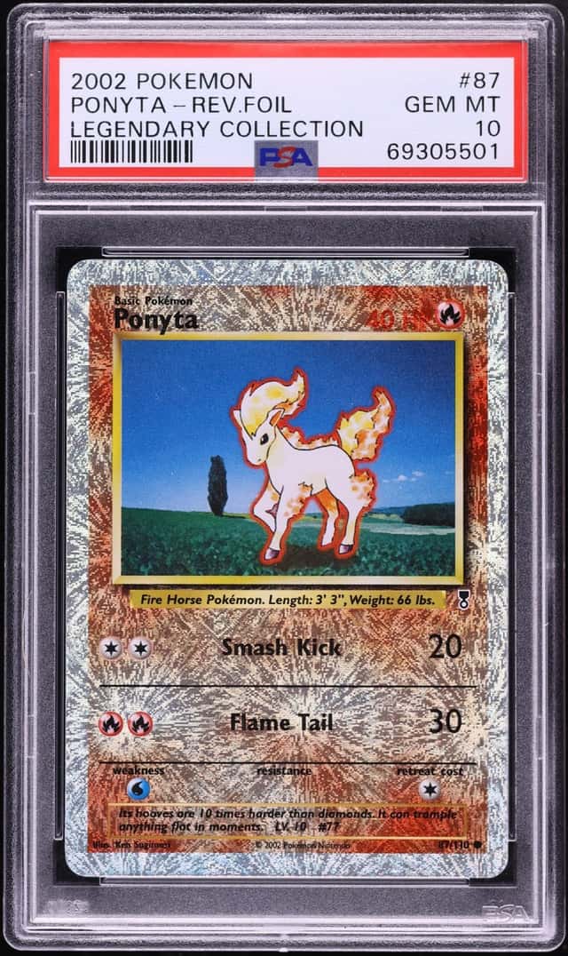 Ponyta