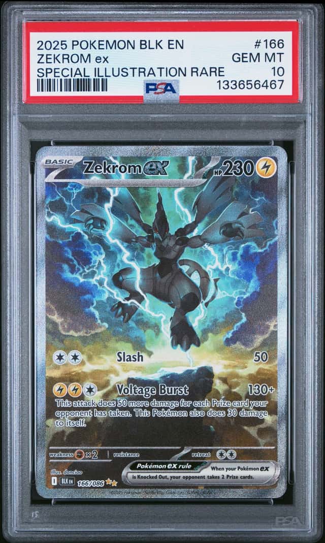 ZEKROM ex
