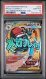 Mega Lucario Ex