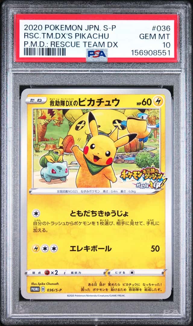 Rescue Team Dx's Pikachu