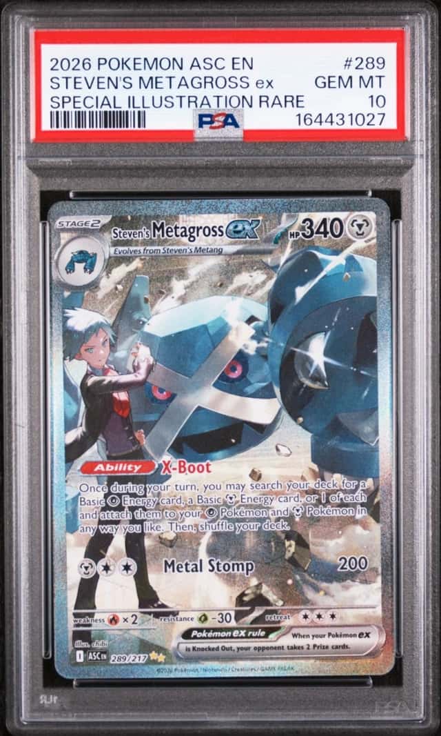 STEVEN'S METAGROSS ex