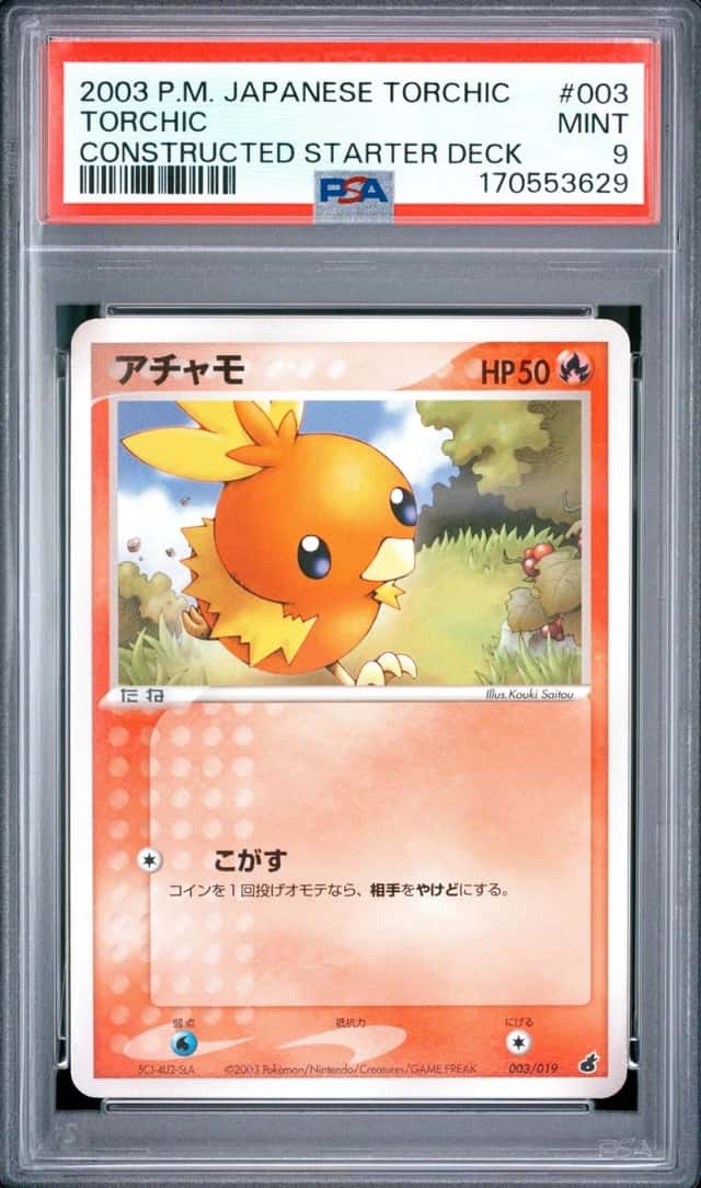 Torchic