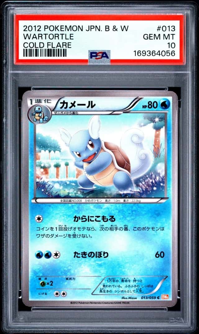 Wartortle