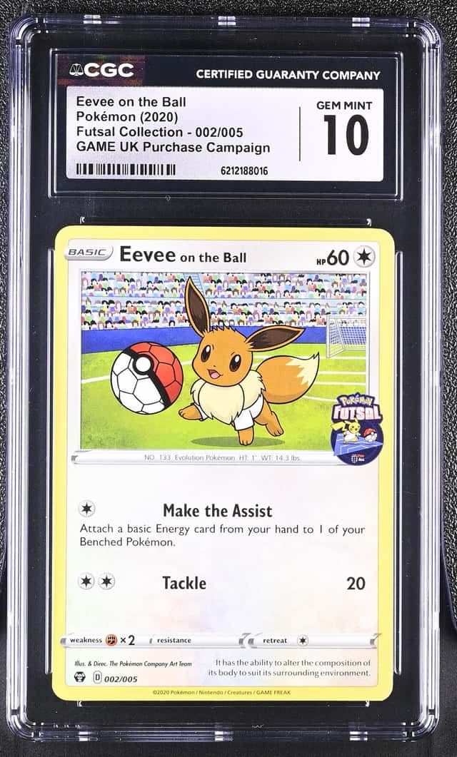 Eevee On The Ball