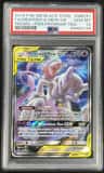Mewtwo & Mew Gx