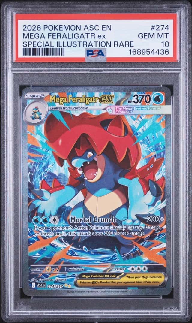 MEGA FERALIGATR ex