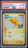 Torchic