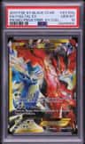 Yveltal Ex