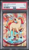 Ponyta
