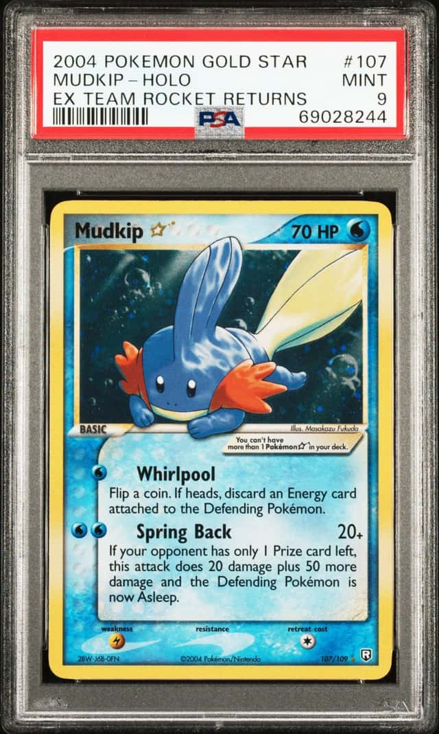 Mudkip