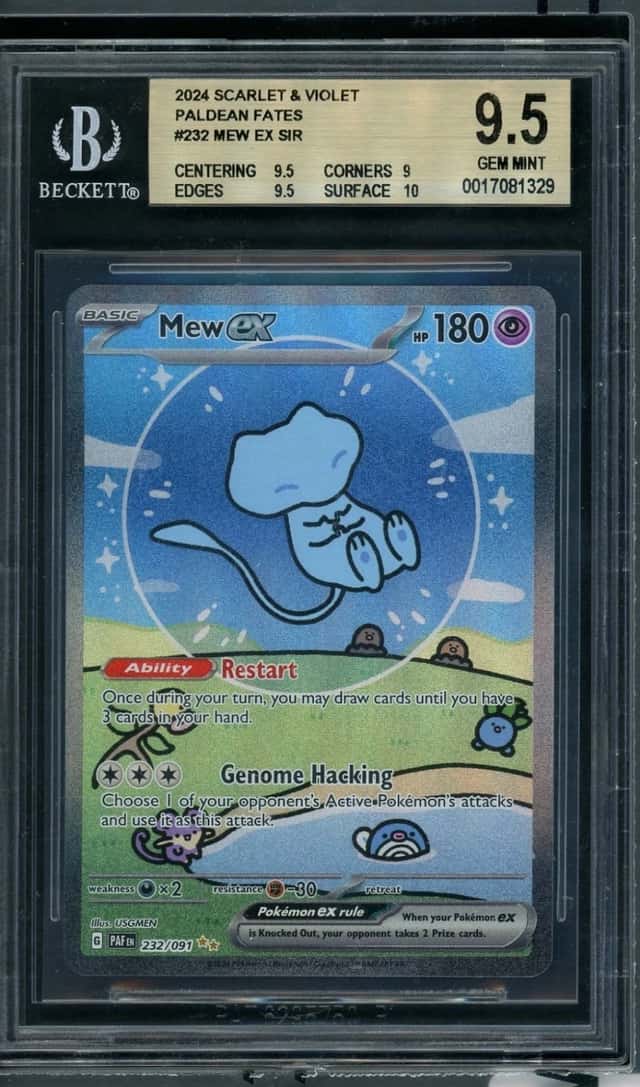 MEW ex