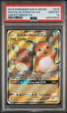 Raichu & Alolan Raichu Gx