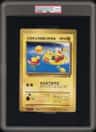 Pikachus Smr.vacation