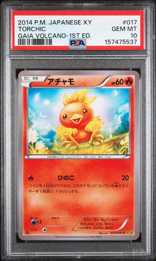 Torchic