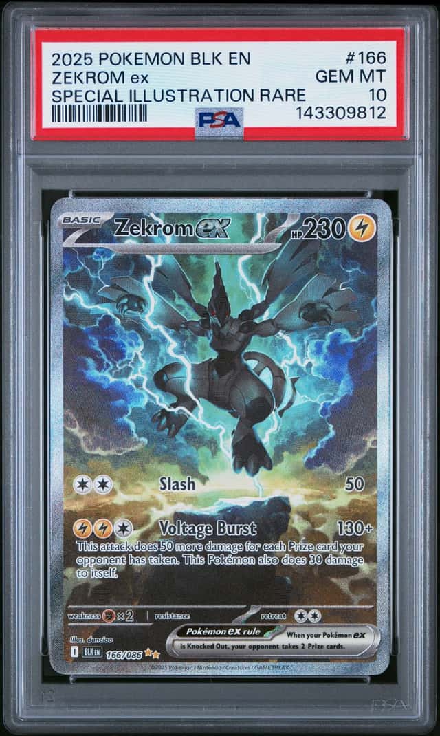 ZEKROM ex