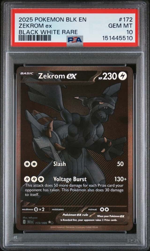 ZEKROM ex