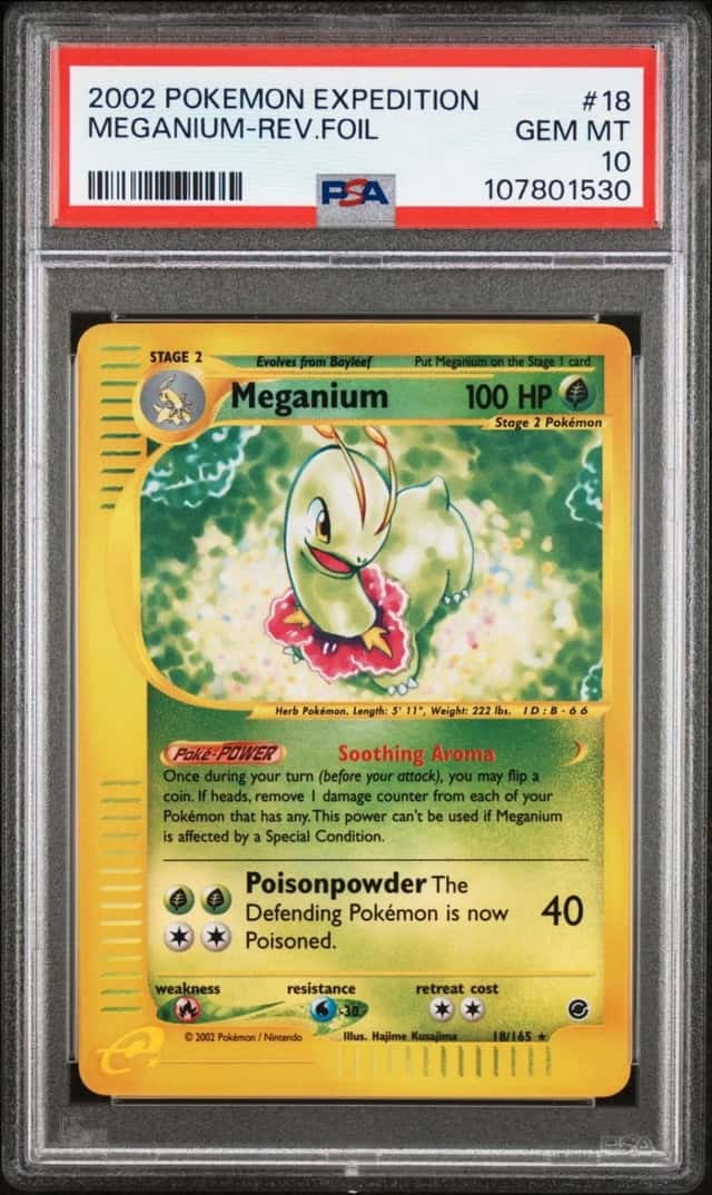 Meganium