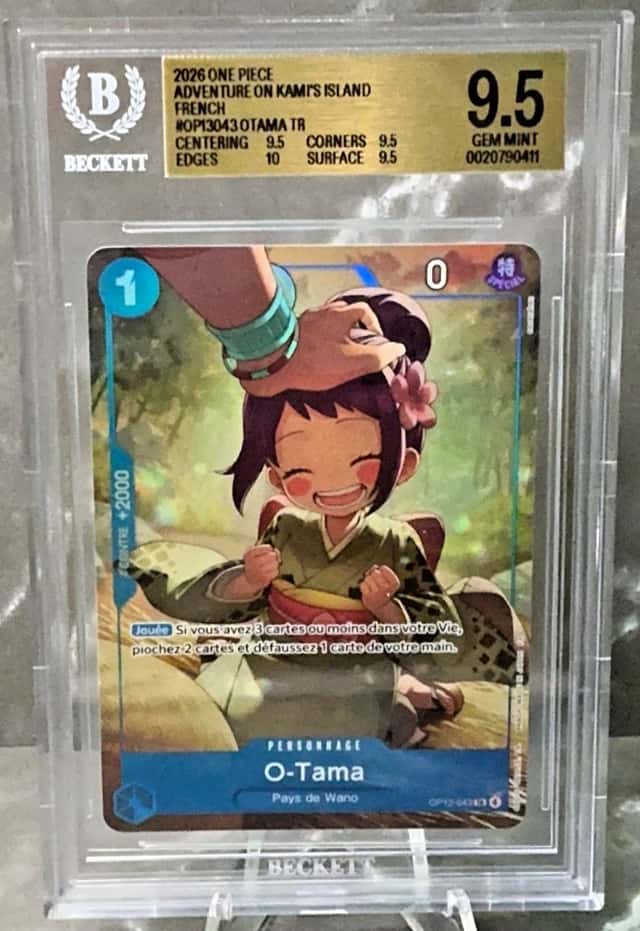 Otama TR