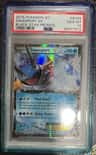 Swampert Ex