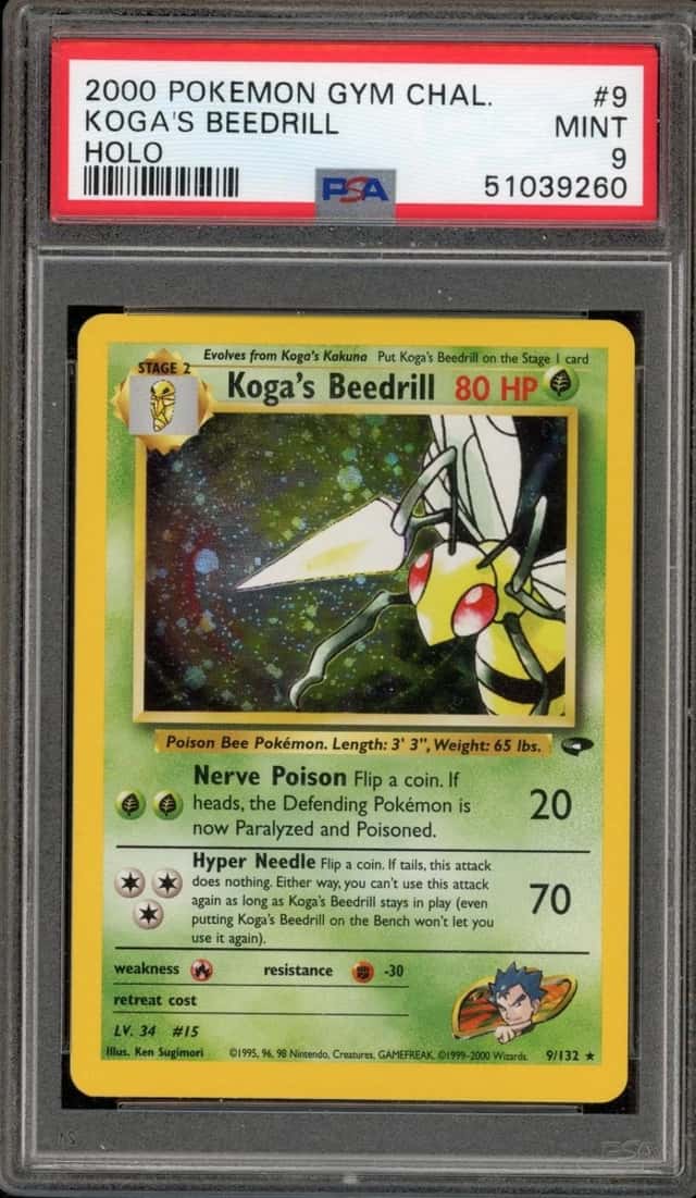 Koga's Beedrill