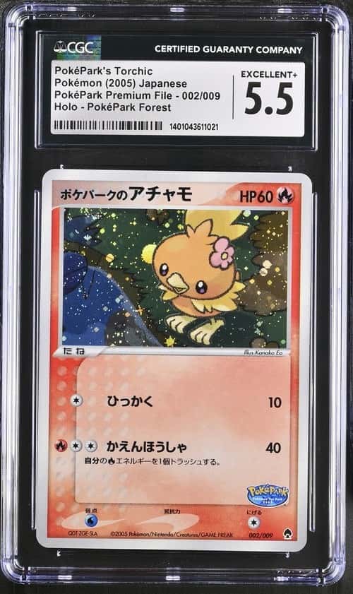 PokéPark's Torchic