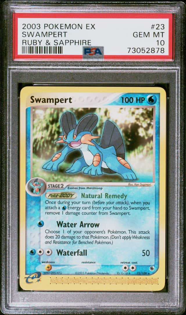 Swampert