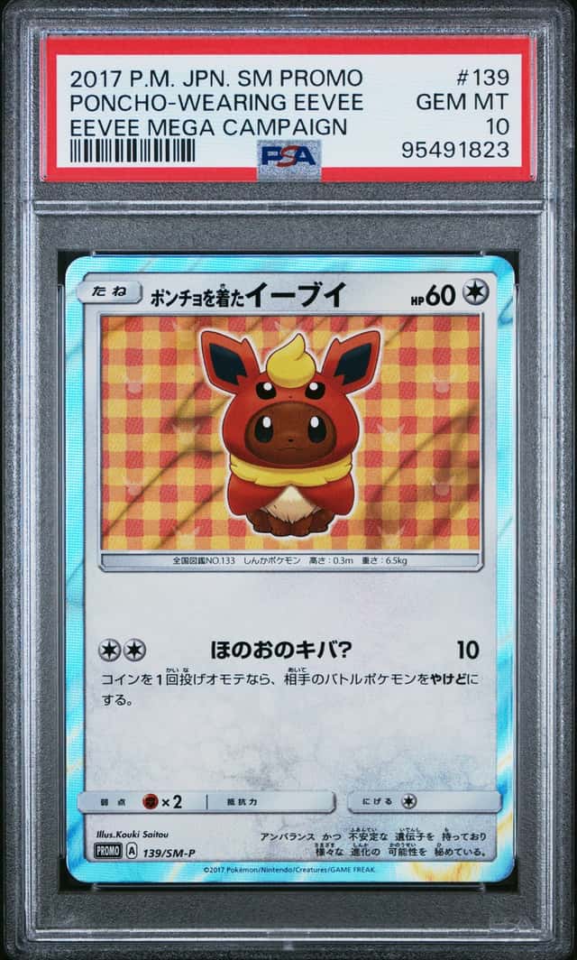Poncho-Wearing Eevee
