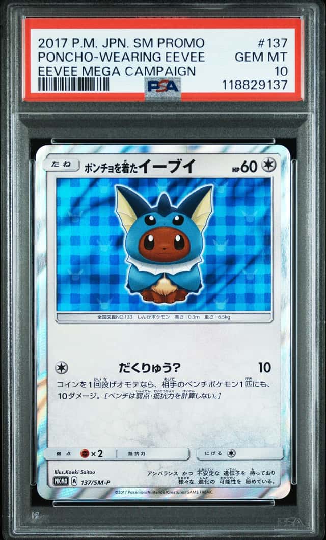 Poncho-wearing Eevee