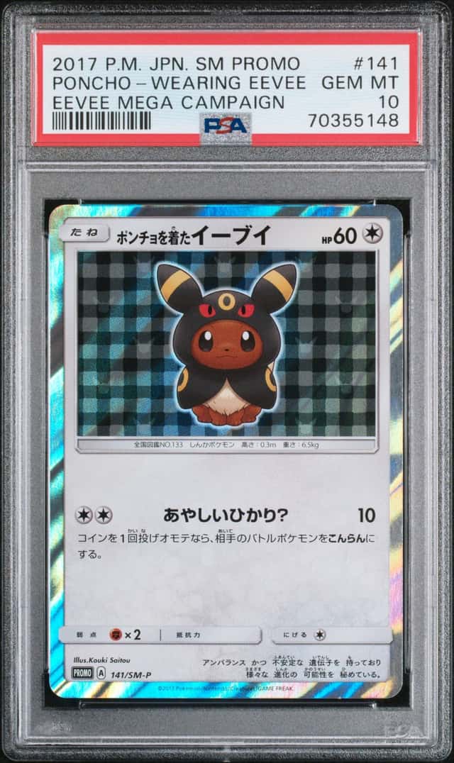 Poncho-Wearing Eevee
