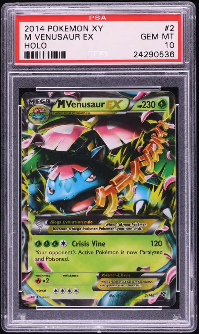 M Venusaur EX