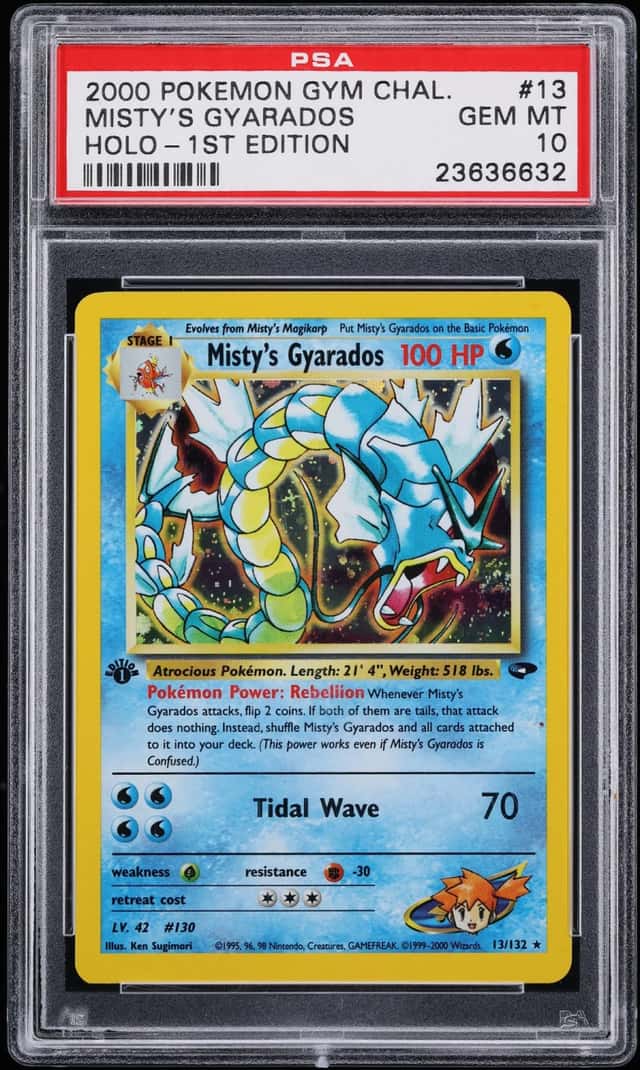 Misty's Gyarados