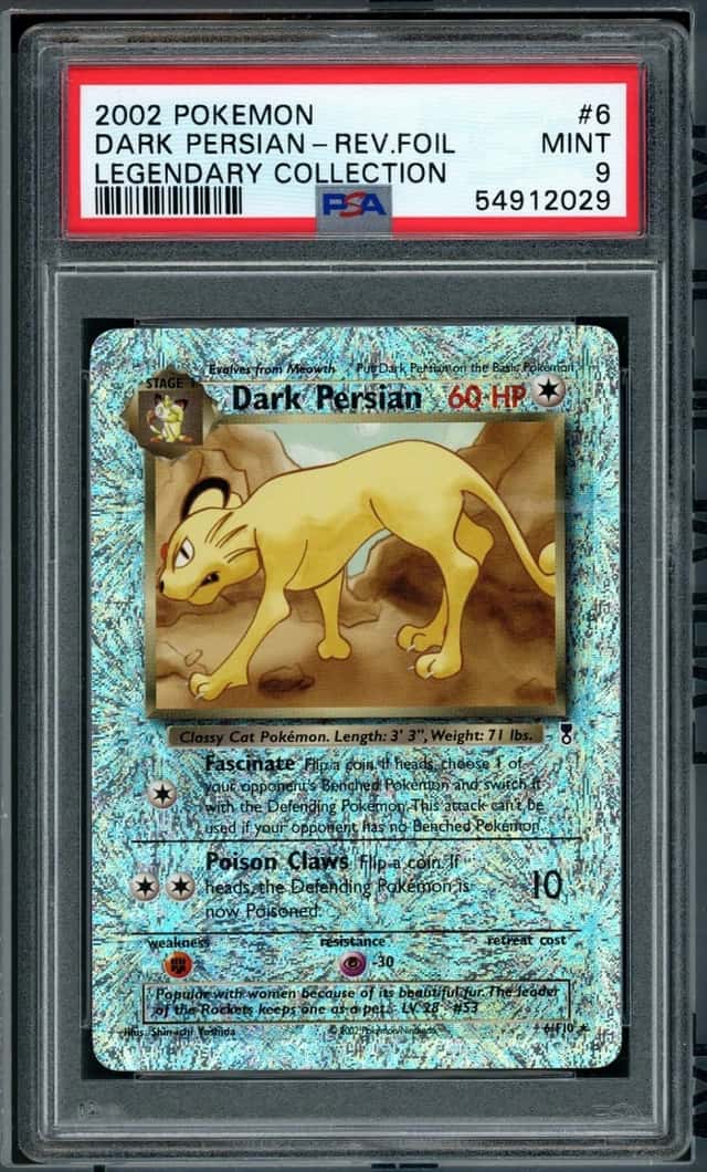 Dark Persian