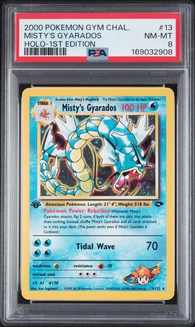 Misty's Gyarados