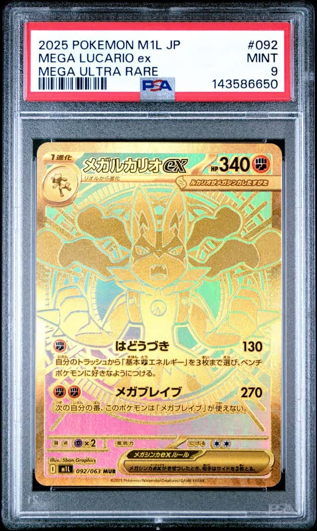 MEGA LUCARIO ex