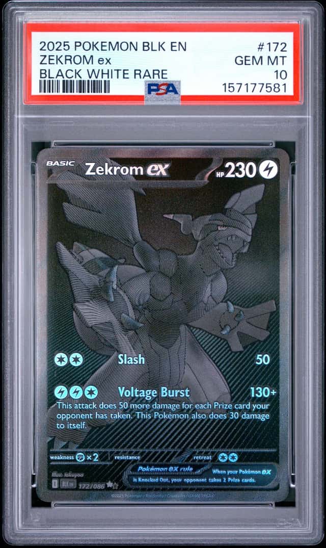 ZEKROM ex