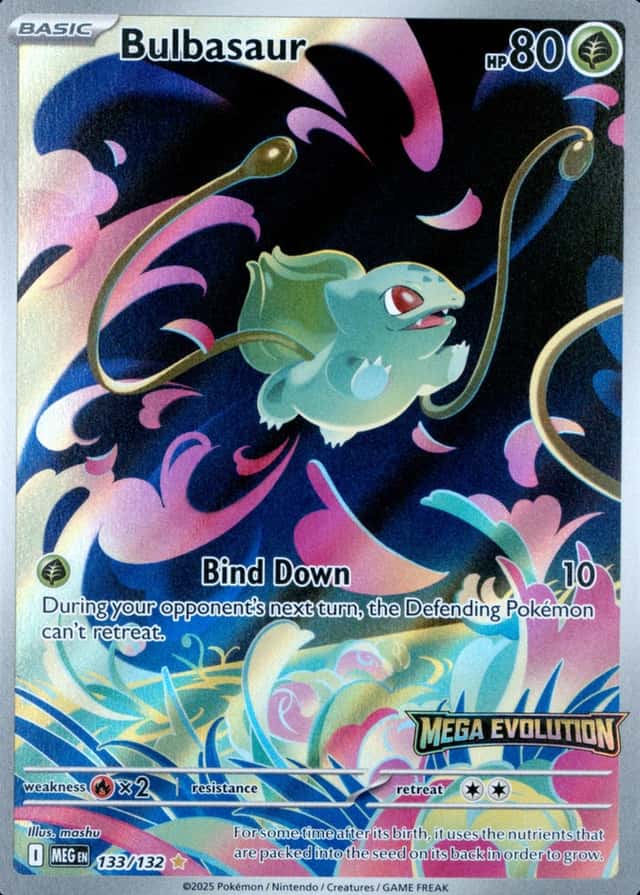 Box Topper