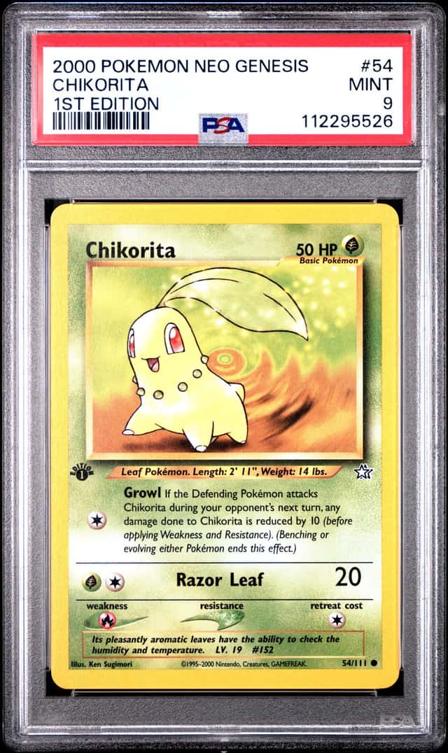 Chikorita