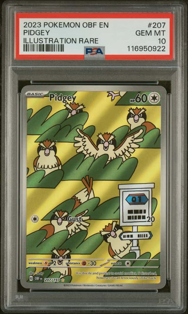 Pidgey