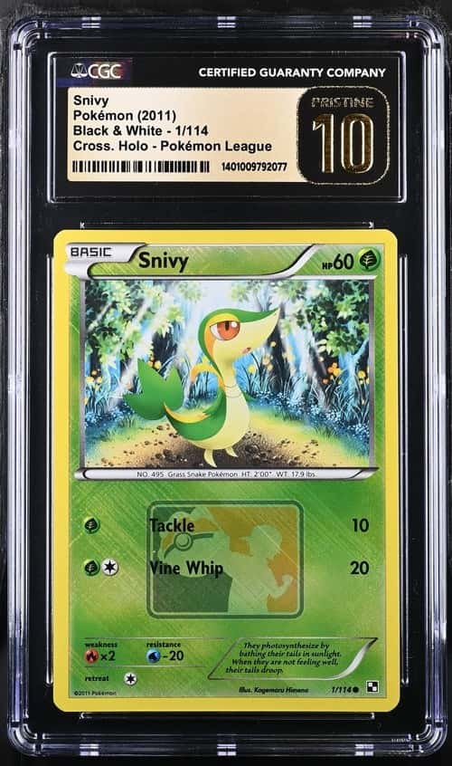 Snivy