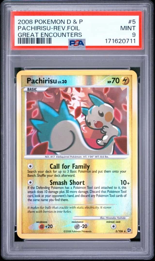 Pachirisu