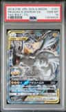 Pikachu & Zekrom Gx