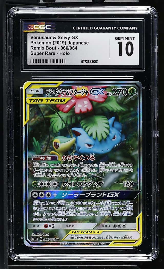 Venusaur & Snivy GX