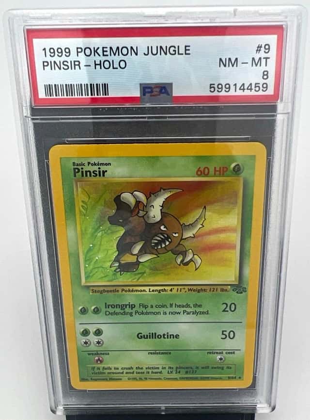 Pinsir