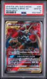 Charizard & Braixen Gx