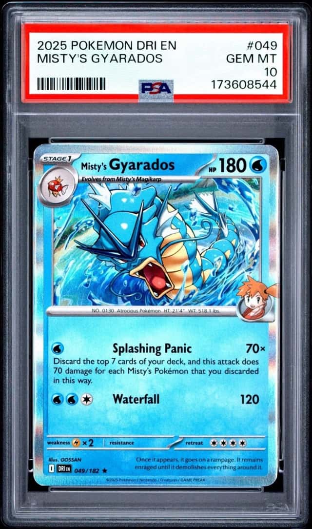 Misty's Gyarados