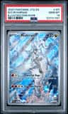 N'S Reshiram