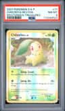 Chikorita
