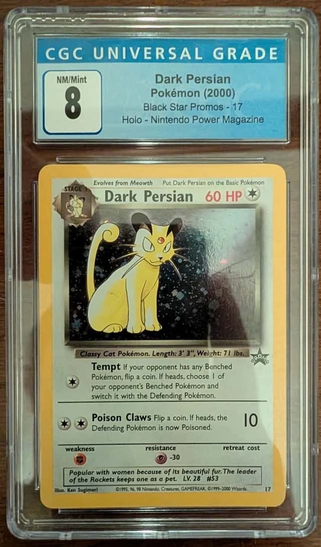 Dark Persian
