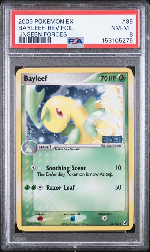 Bayleef